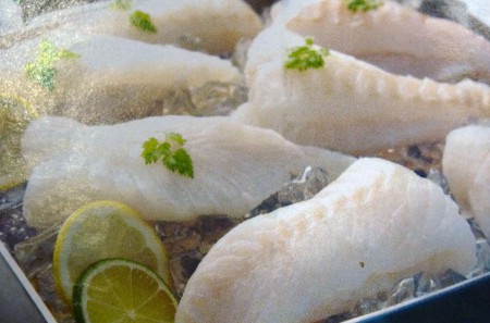 Filetes de Peixe gato